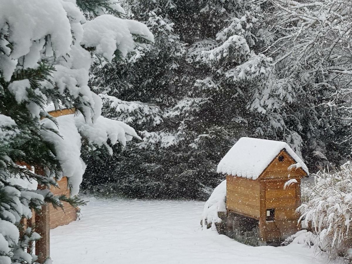 Harzer Auszeit Apartman Hattorf am Harz Kültér fotó
